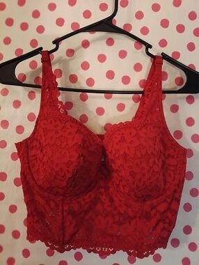 Victoria Secret Body By Victoria Red Lace Longline Bralette/corset Style 38C